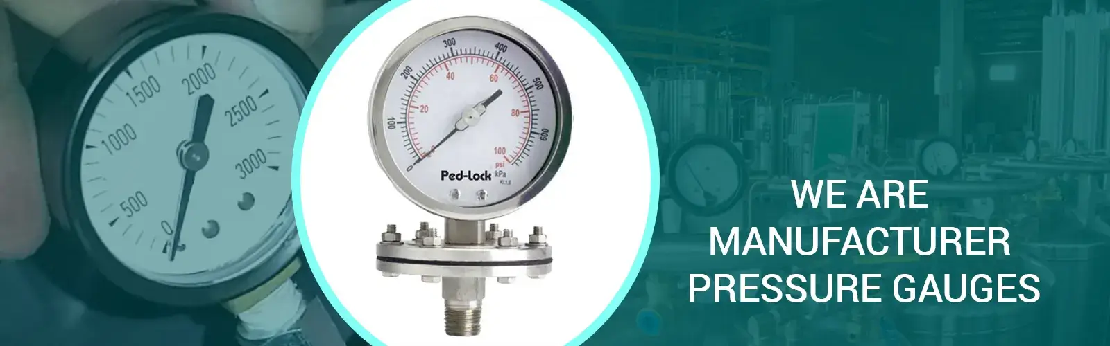 Pressure Gauge in India